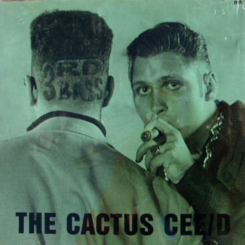 3rd bass the cactus album vinyl
